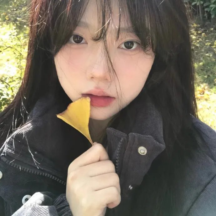 布里叶女士